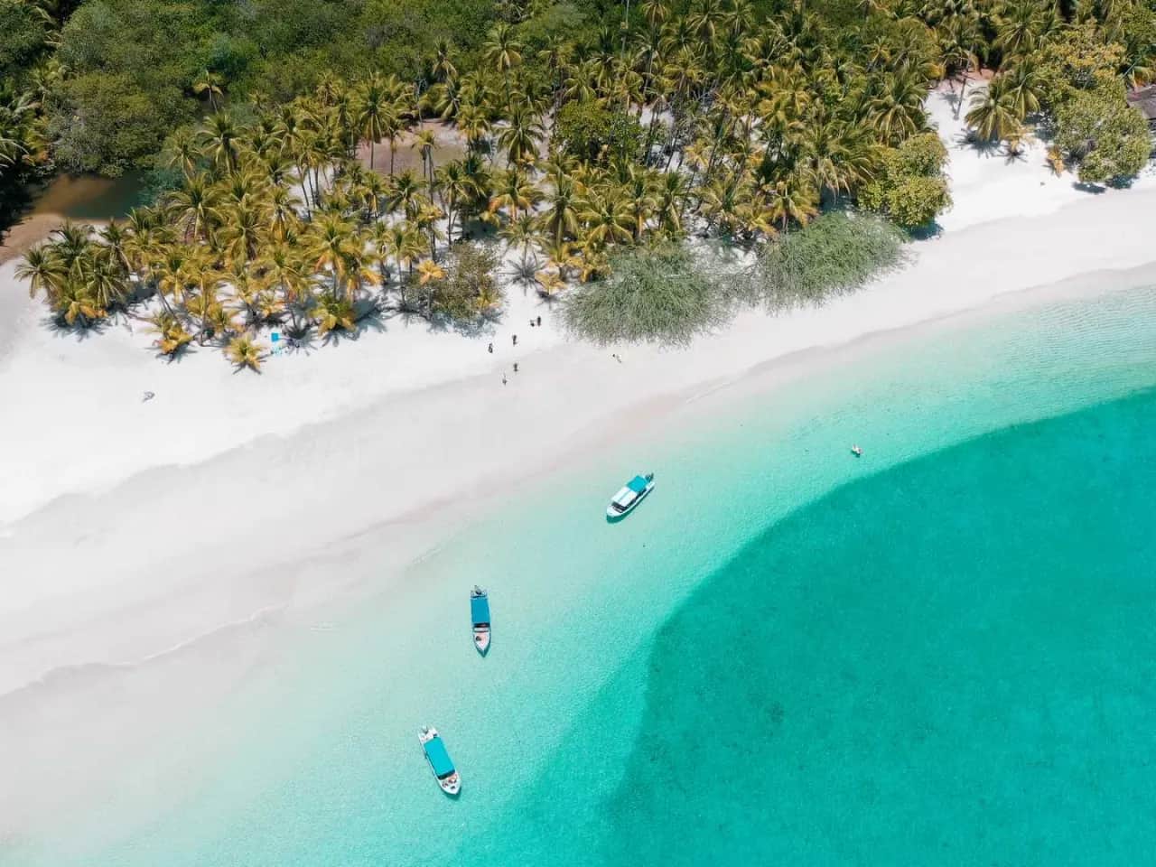 Panamá: Tu guía completa para un viaje inolvidable ¿Listo para explorar?